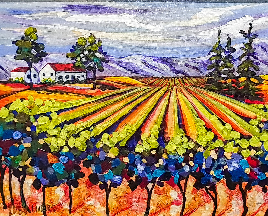 Sold - View of the Vineyard